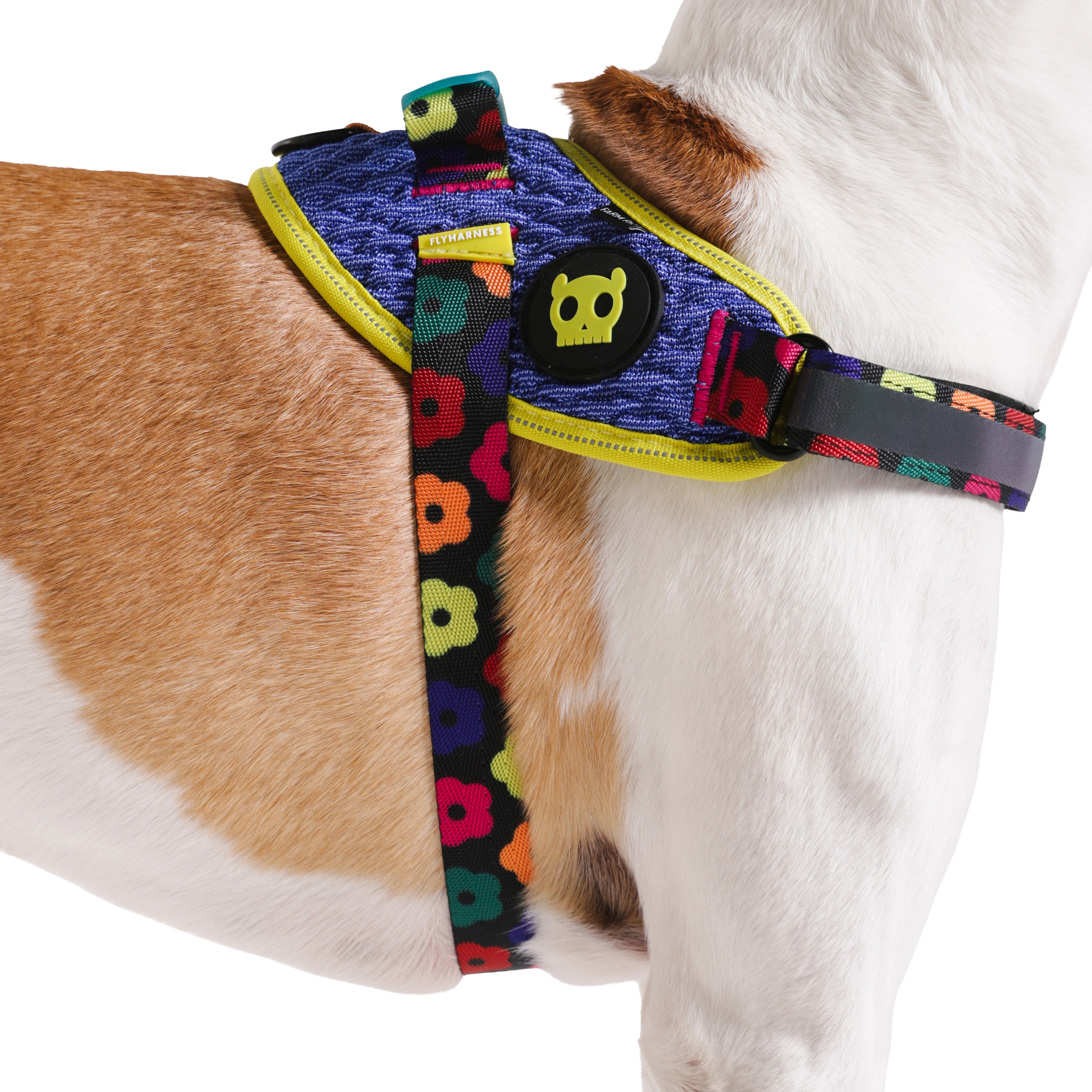 Samba Fly Harness