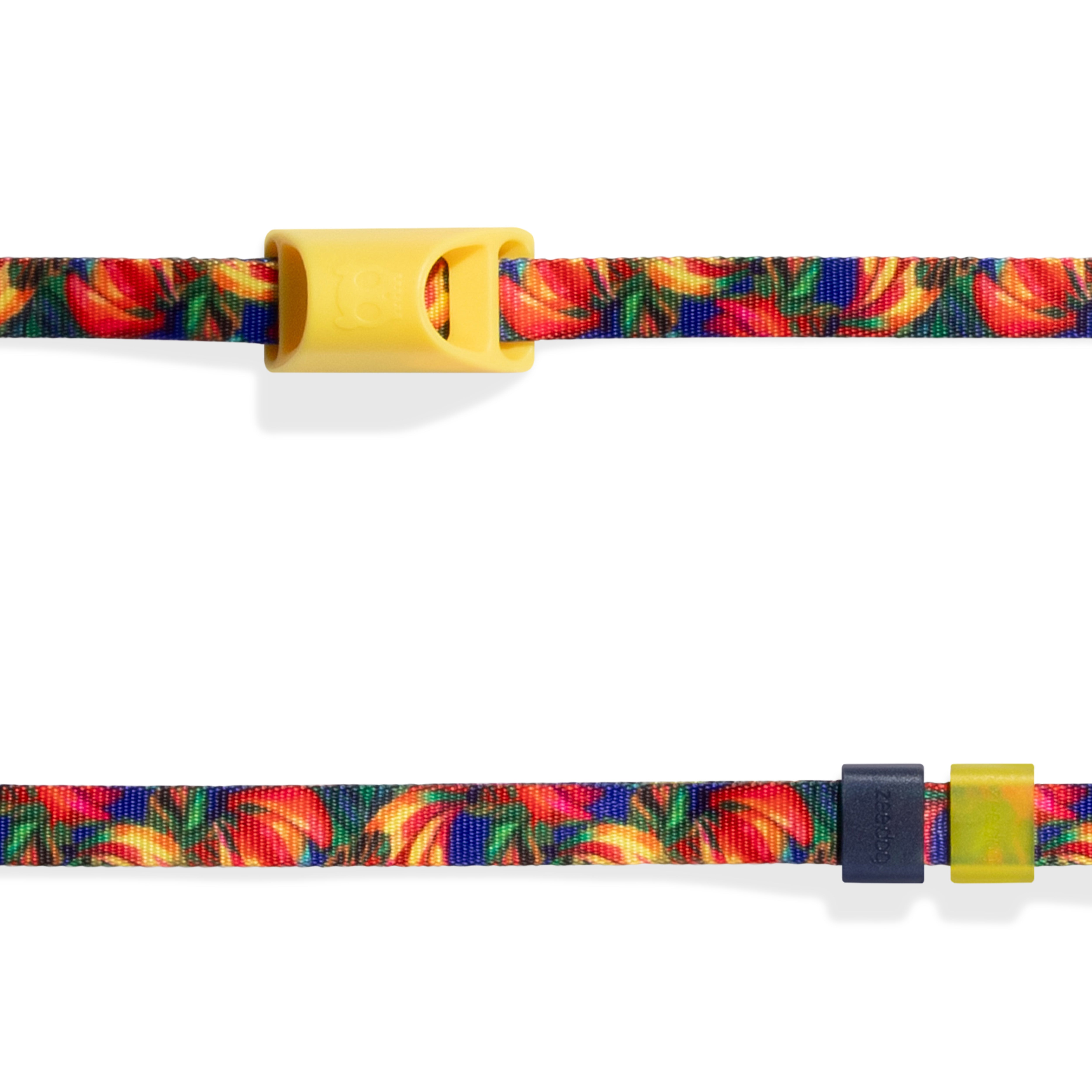Long Leash Samba