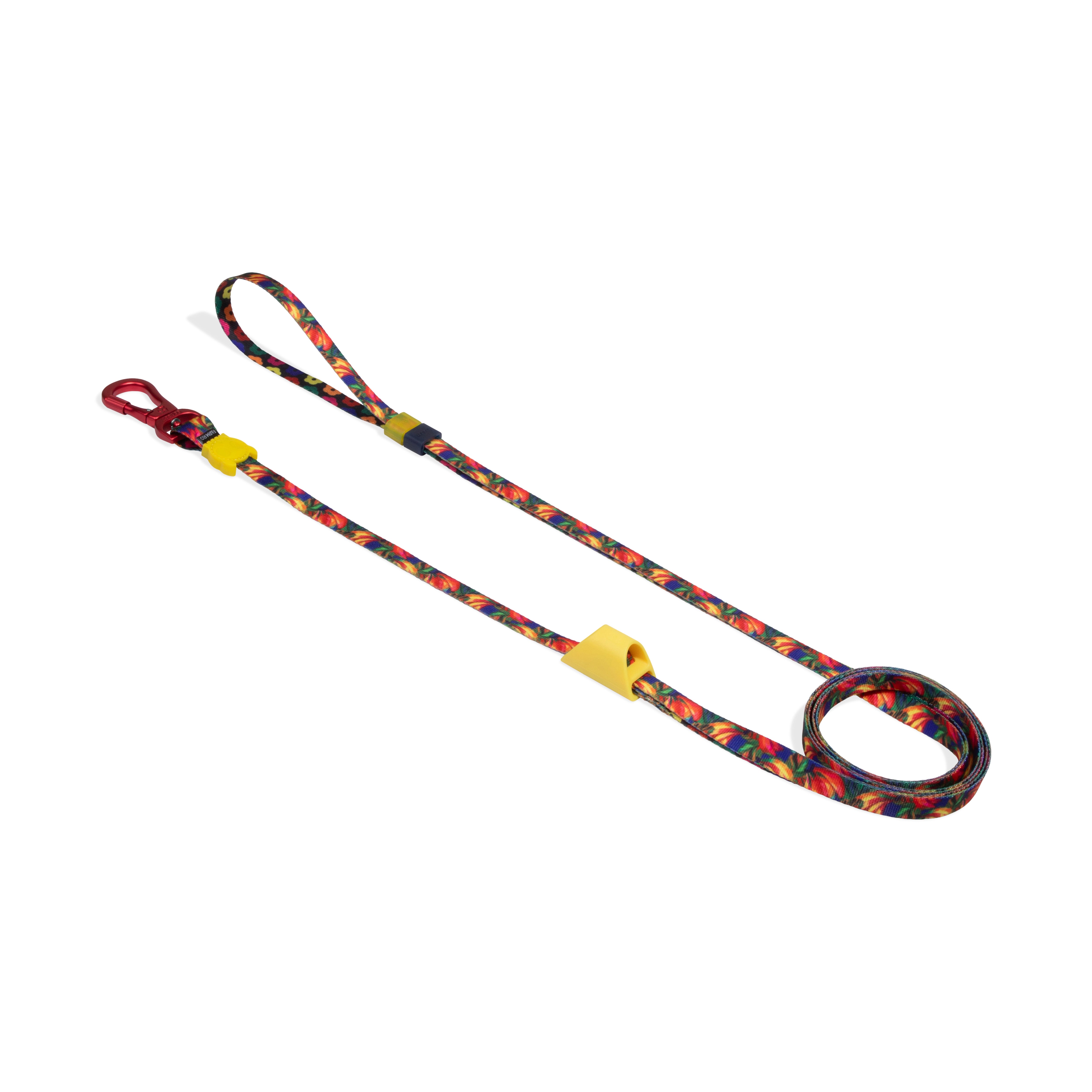 Long Leash Samba