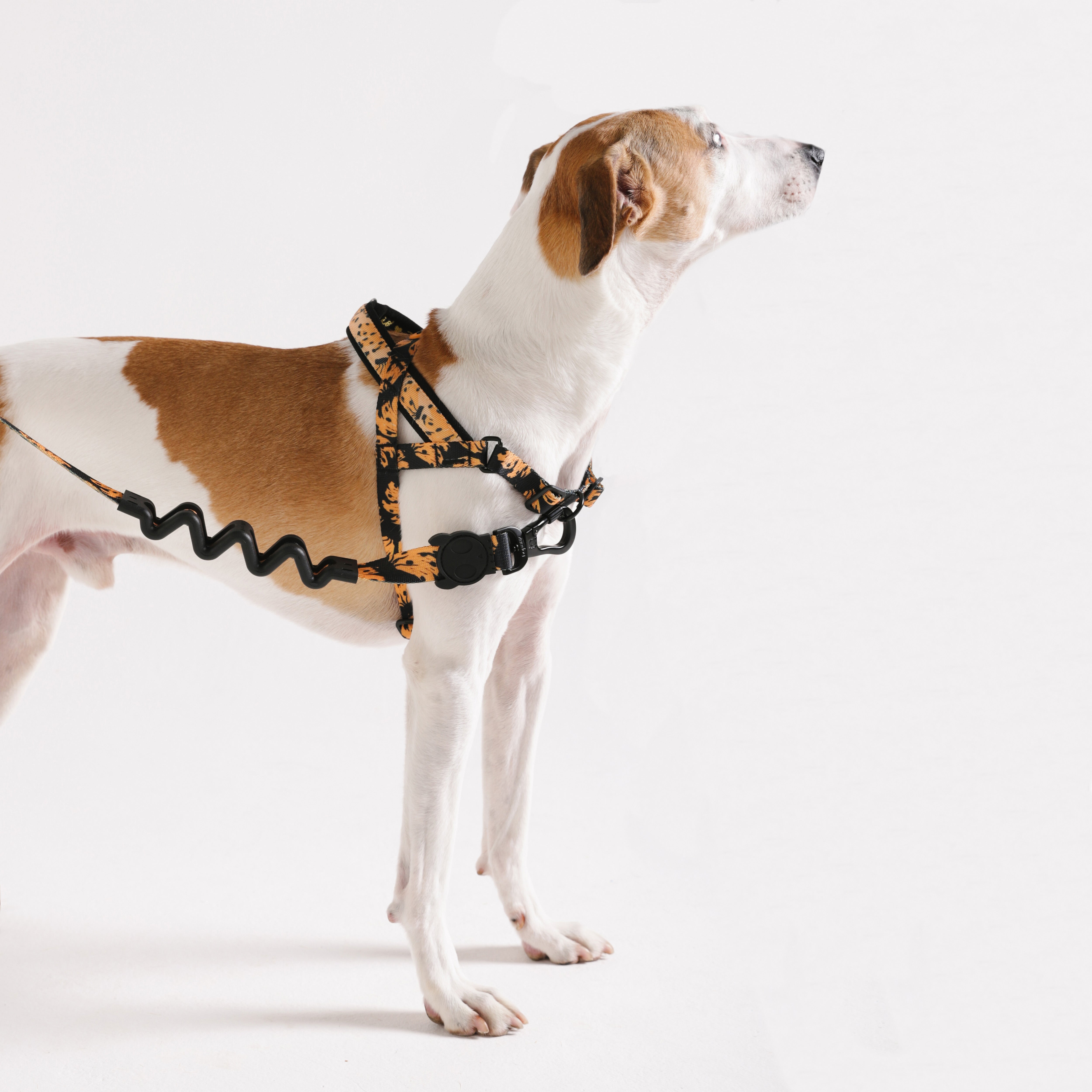 Bossa Banana Softer Walk Harness
