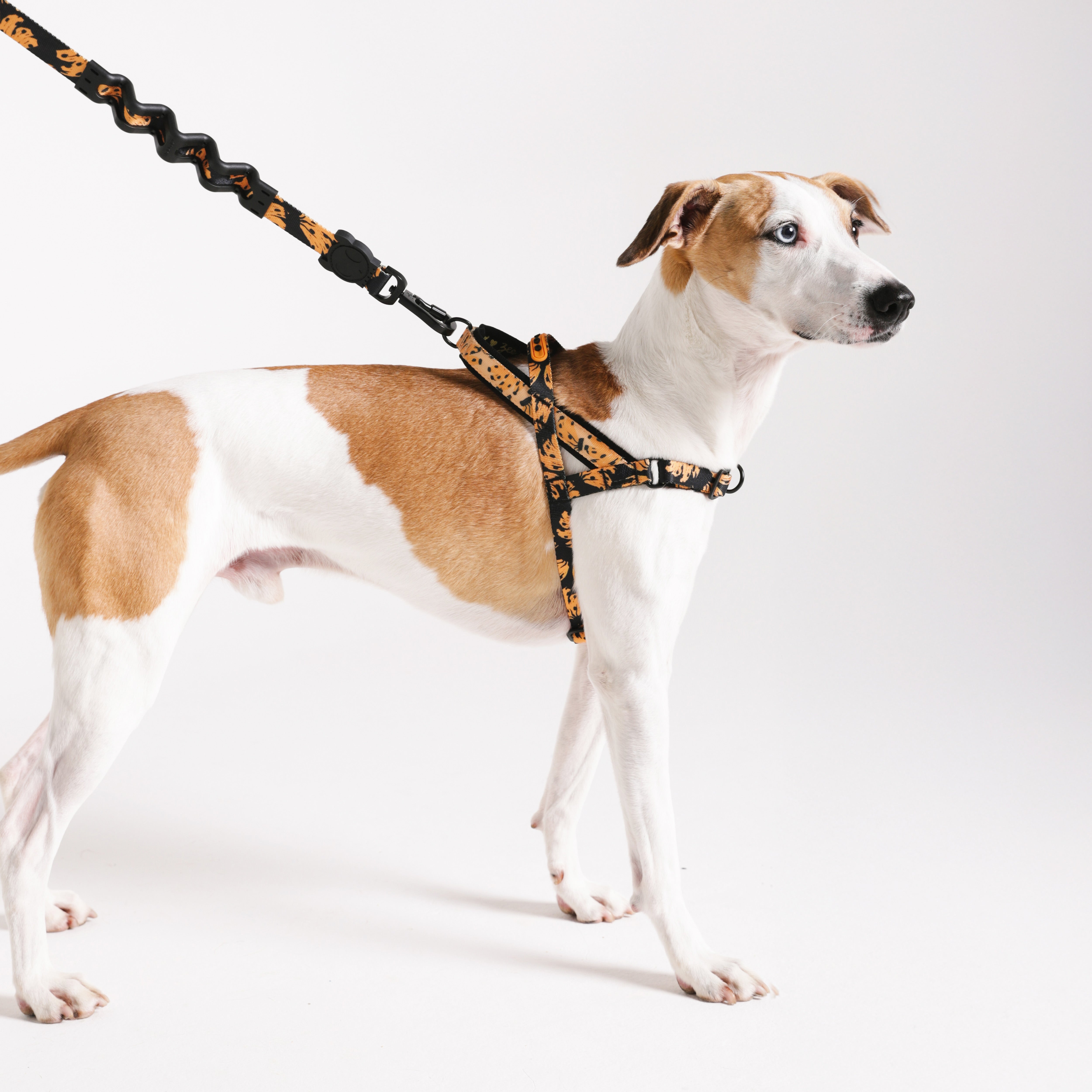 Bossa Banana Softer Walk Harness