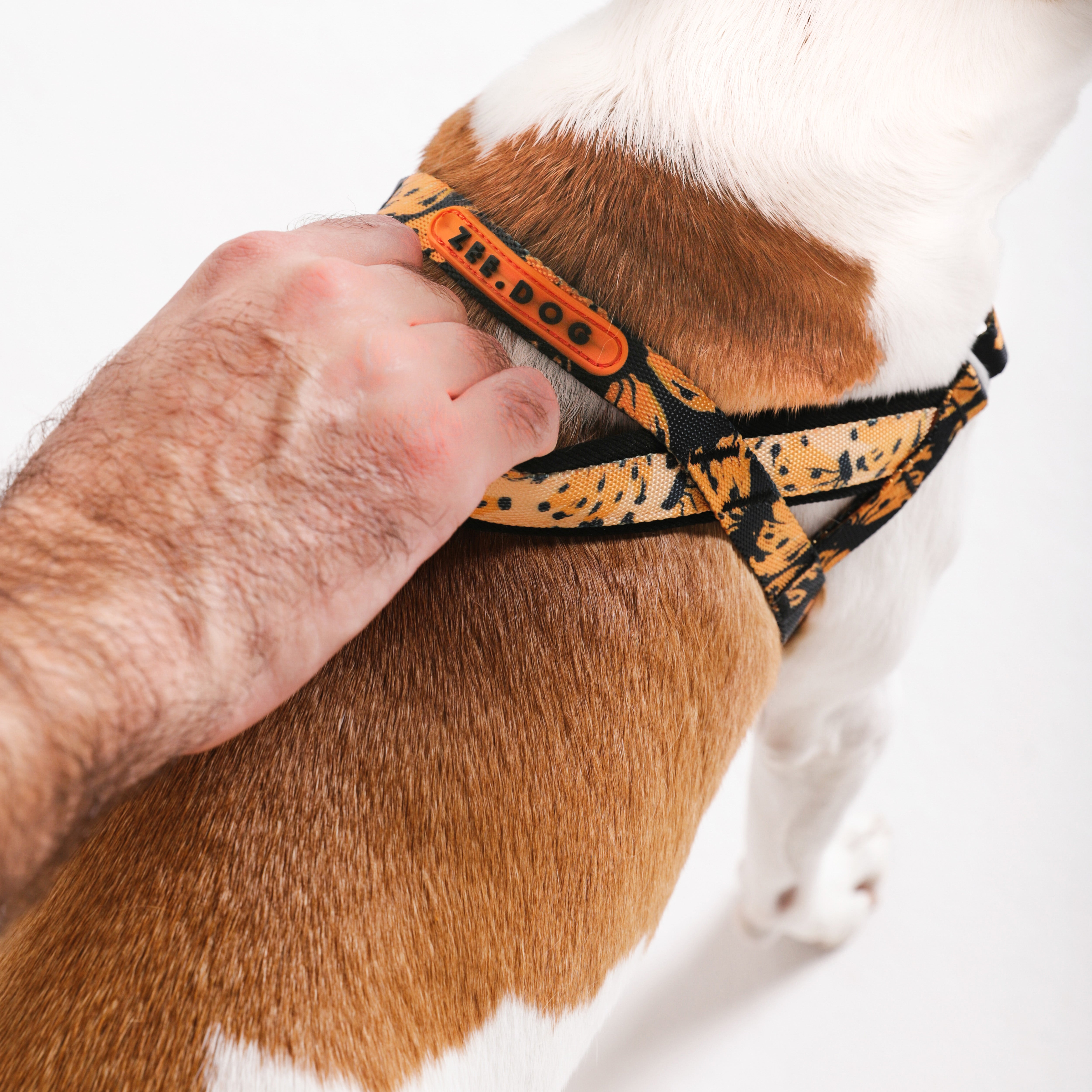 Bossa Banana Softer Walk Harness