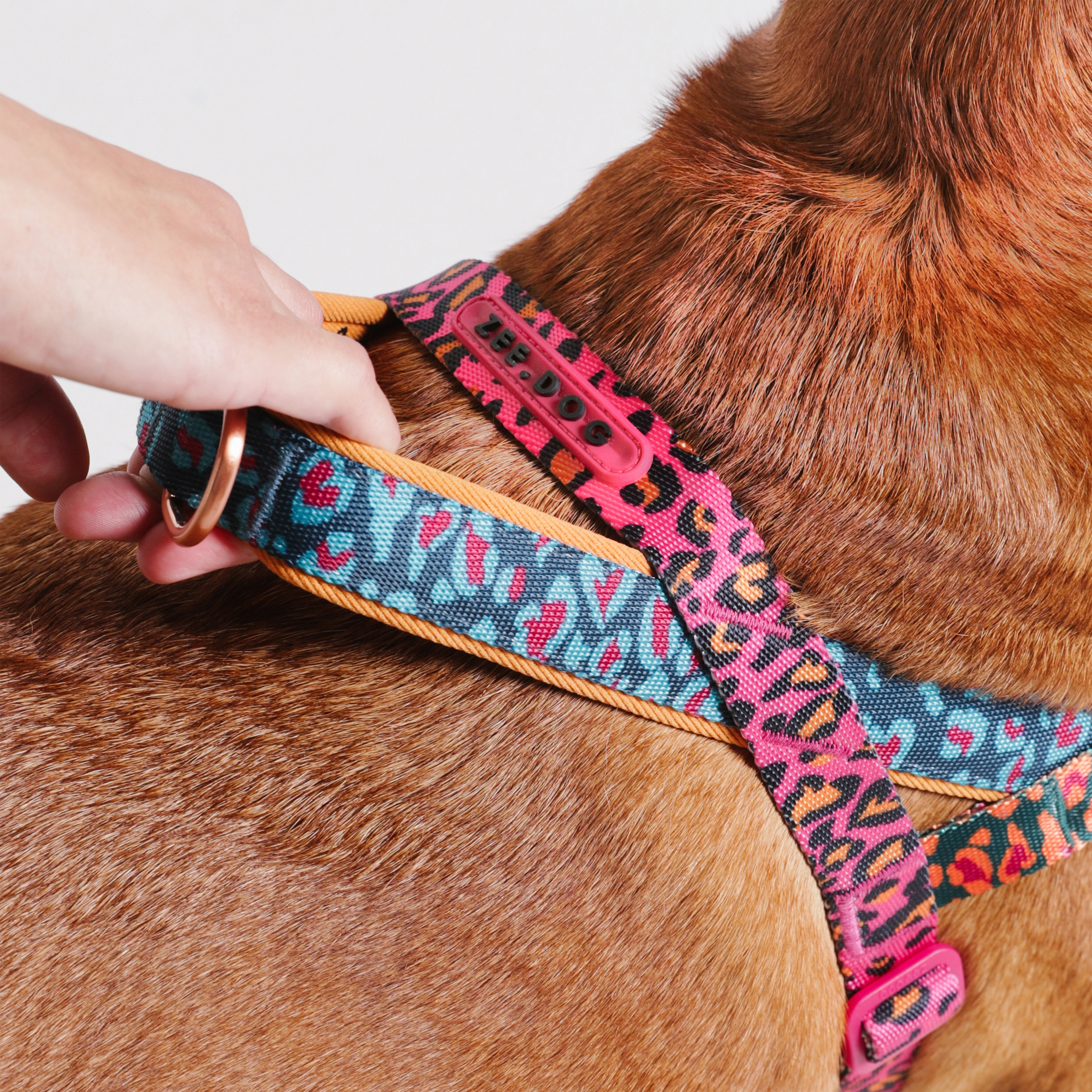 Selva Softer Walk Harness