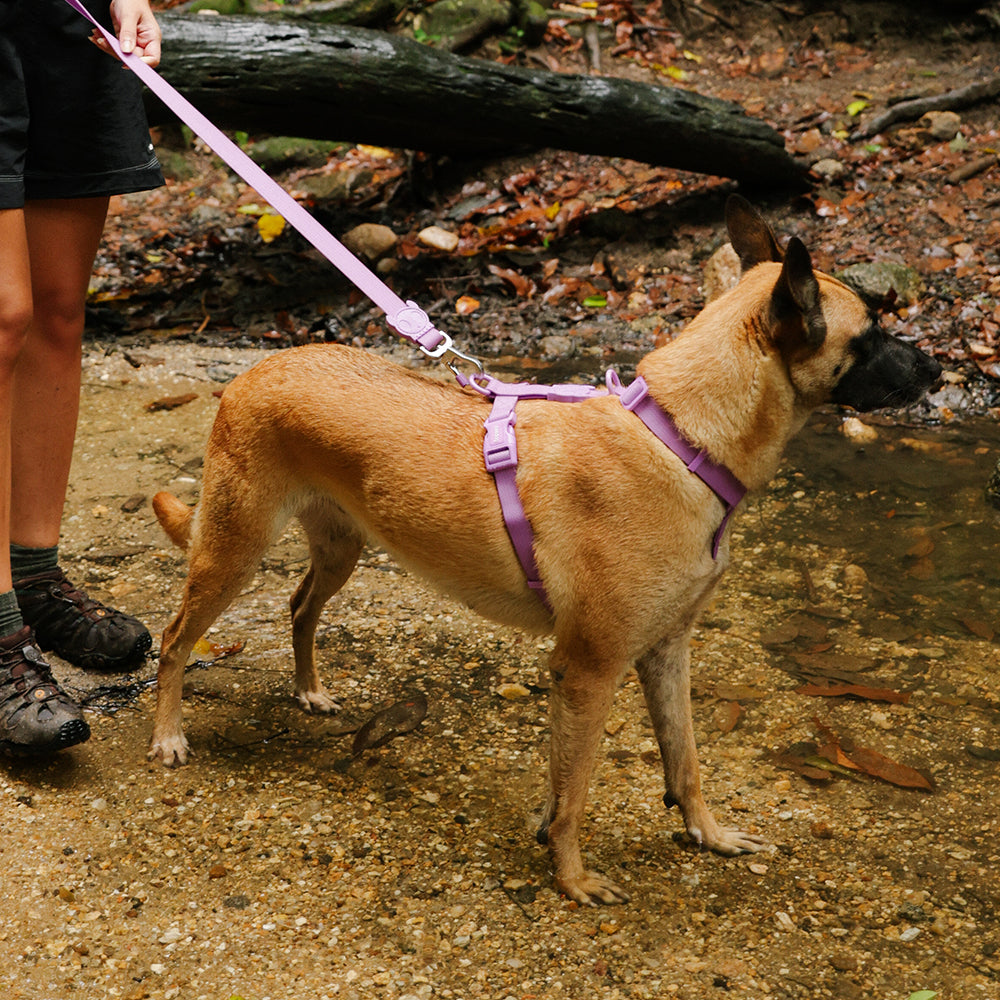 Neopro Ultra Violet H - Harness