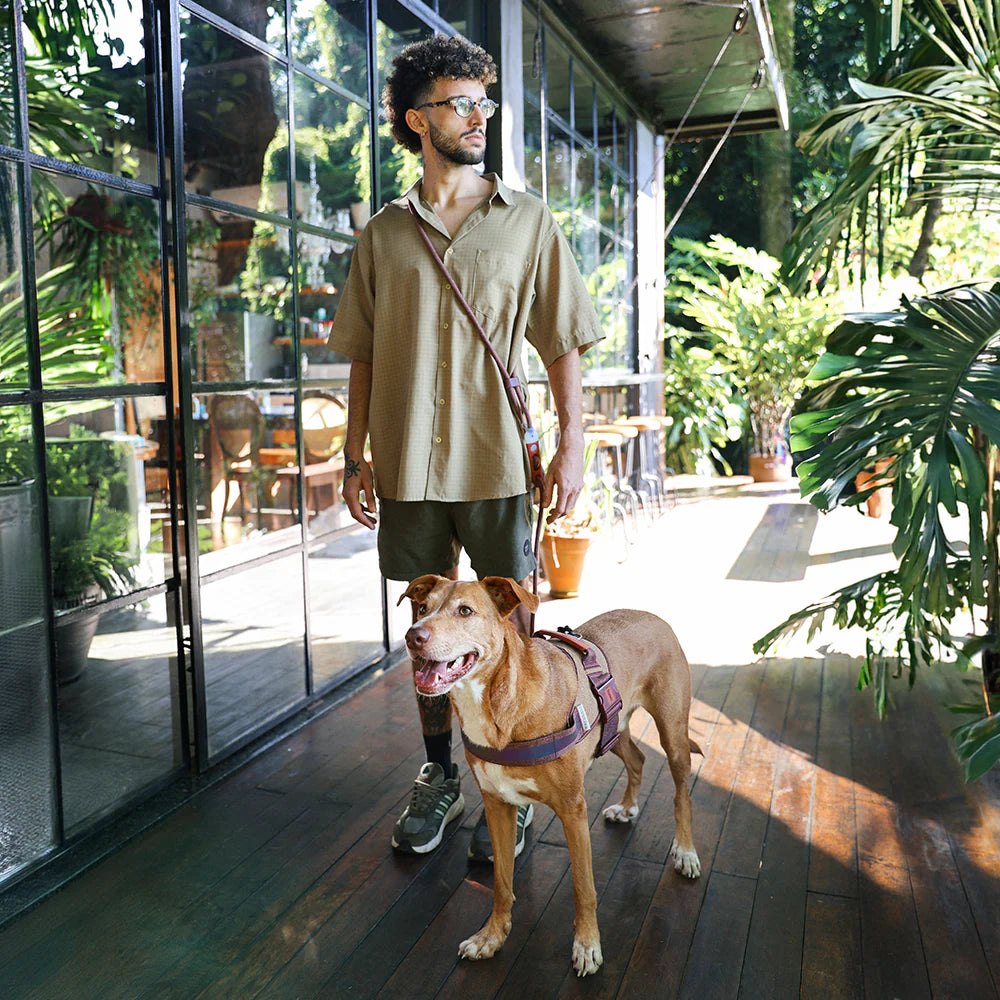 Cocoa Hands - Free Leash