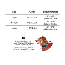 Load image into Gallery viewer, Neopro Bubblegum | Dog Collar
