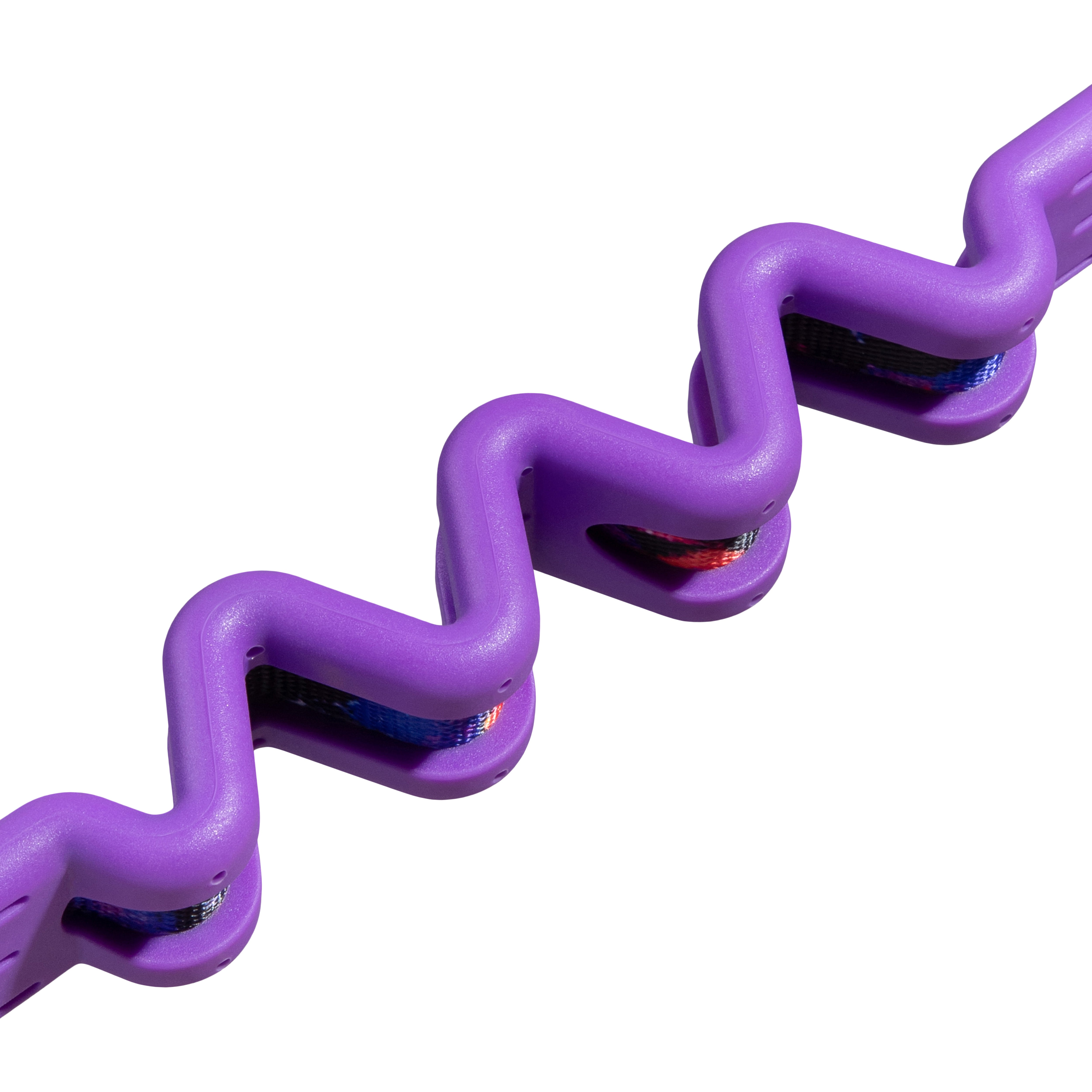 Reebok Court Ruff Leash [Limited Edition]