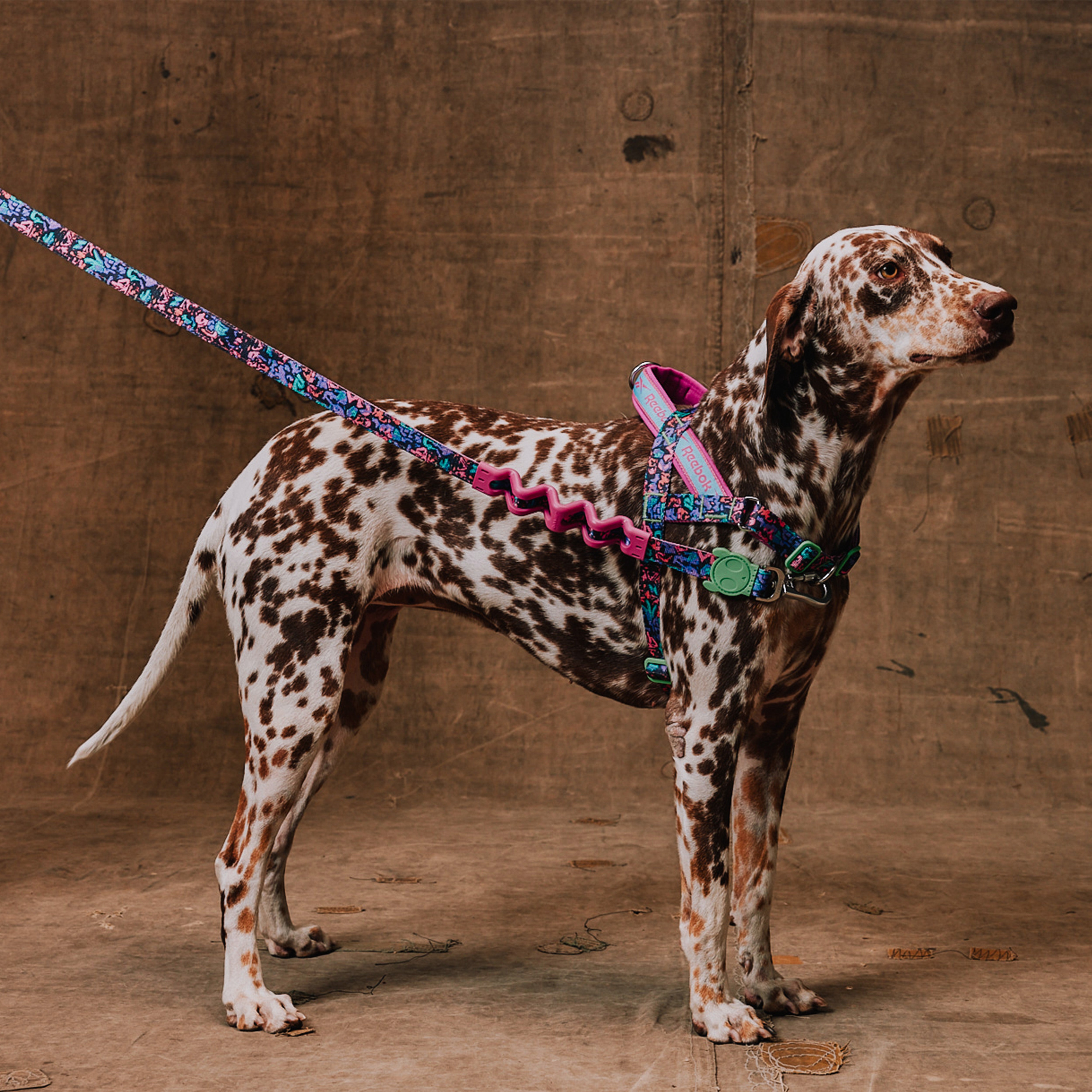 Reebok Aerobic Softer Walk Harness [Limited Edition]