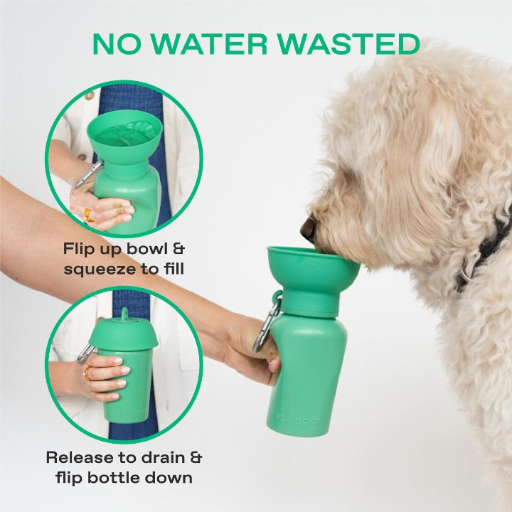 Flip Dog Travel Bottle