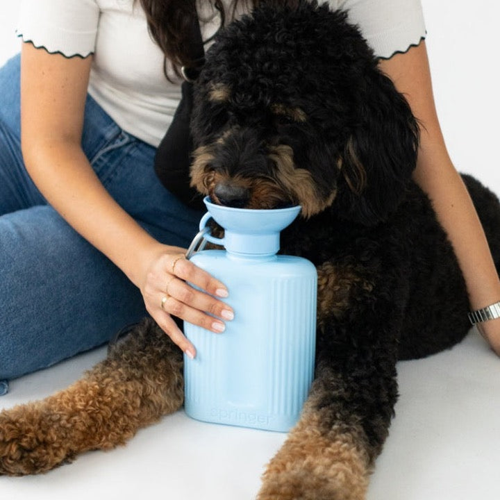 Growler Dog Travel Bottle