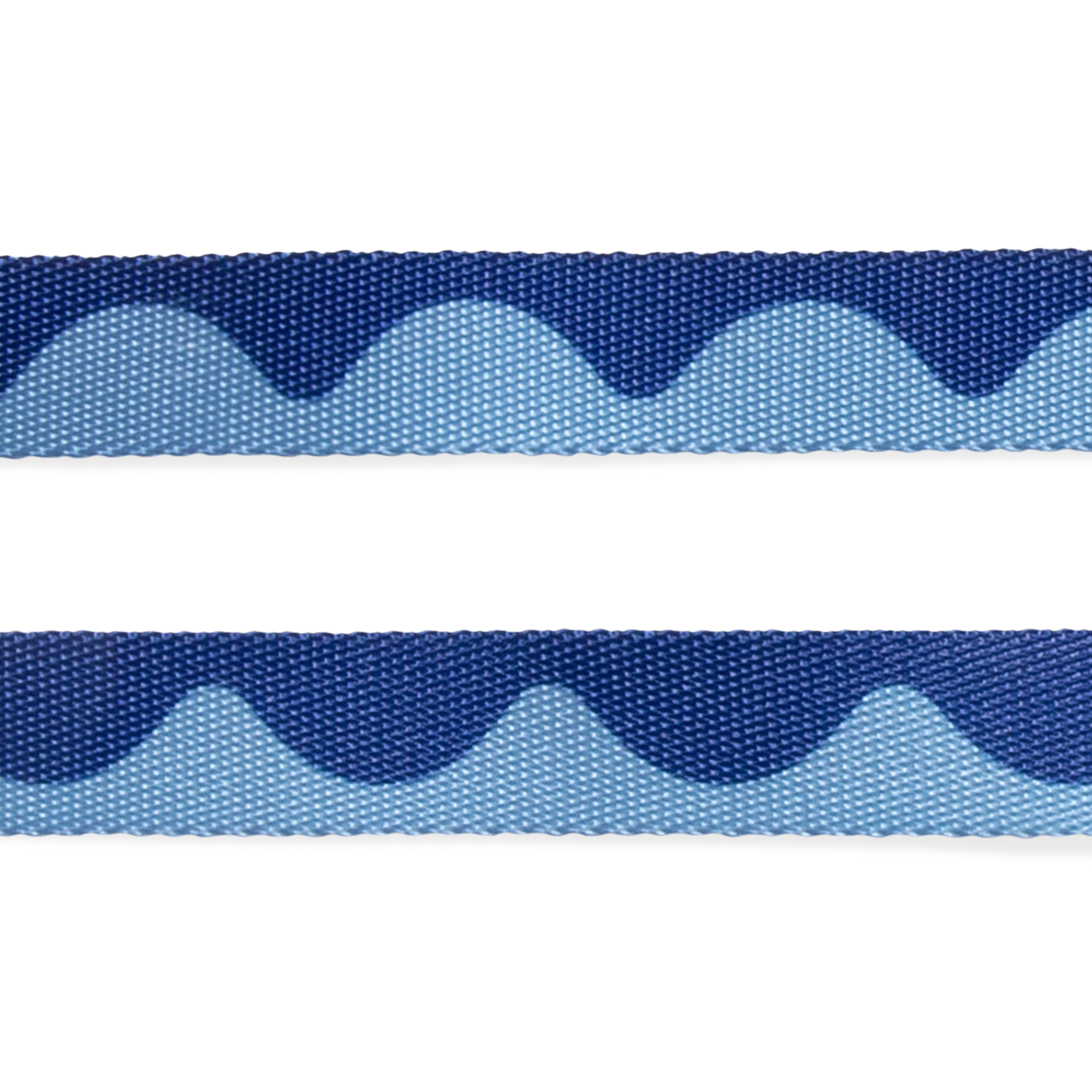 Swell Leash