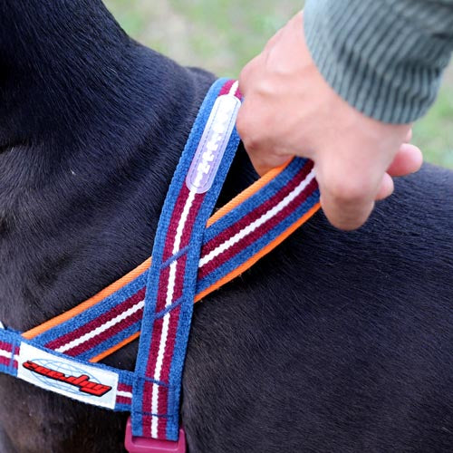 Dropout Velvet Vibes Softer Walk Harness