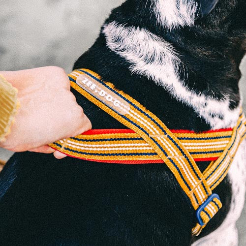 Misfit Velvet Vibes Softer Walk Harness