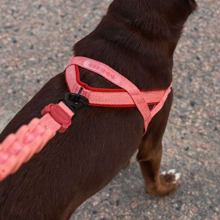 Canyon | Softer Walk Harness