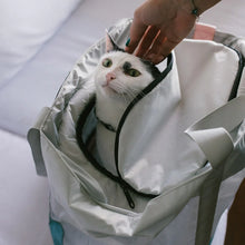 Load image into Gallery viewer, Cat Carrier Kombucha

