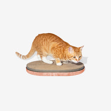 Load image into Gallery viewer, Citrus | Cat Scratcher
