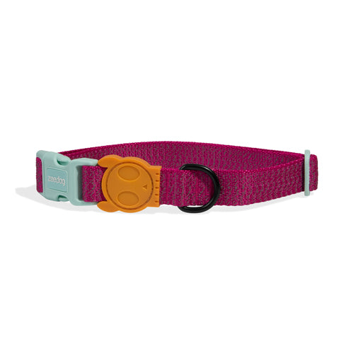 Nox Sidus | Dog Collar