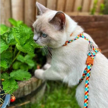 Load image into Gallery viewer, Phantom | Cat Harness with Leash
