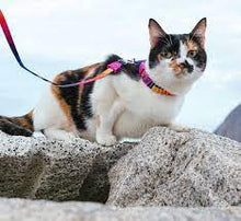 Load image into Gallery viewer, Prisma | Cat Harness with Leash
