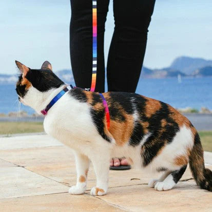 Prisma | Cat Harness with Leash