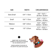Load image into Gallery viewer, Woozer | Dog Collar
