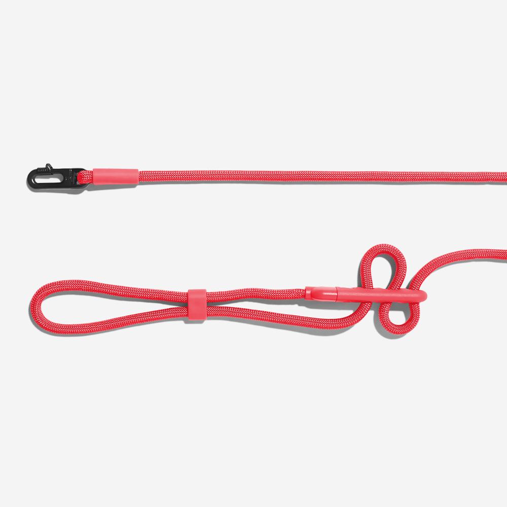 Neon Coral | Hands - Free Leash