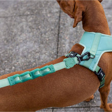 Load image into Gallery viewer, Army Green | Ruff Leash
