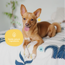 Load image into Gallery viewer, Almond+Vanilla Coat Spray for Dog Smells
