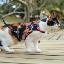 Load image into Gallery viewer, Atlanta | Cat Harness with Leash
