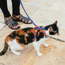 Load image into Gallery viewer, Atlanta | Cat Harness with Leash
