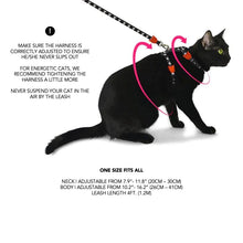 Load image into Gallery viewer, Aura | Cat Harness with Leash
