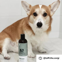 Load image into Gallery viewer, Dry Skin &amp; Coat Shampoo for Dogs (Cedar)
