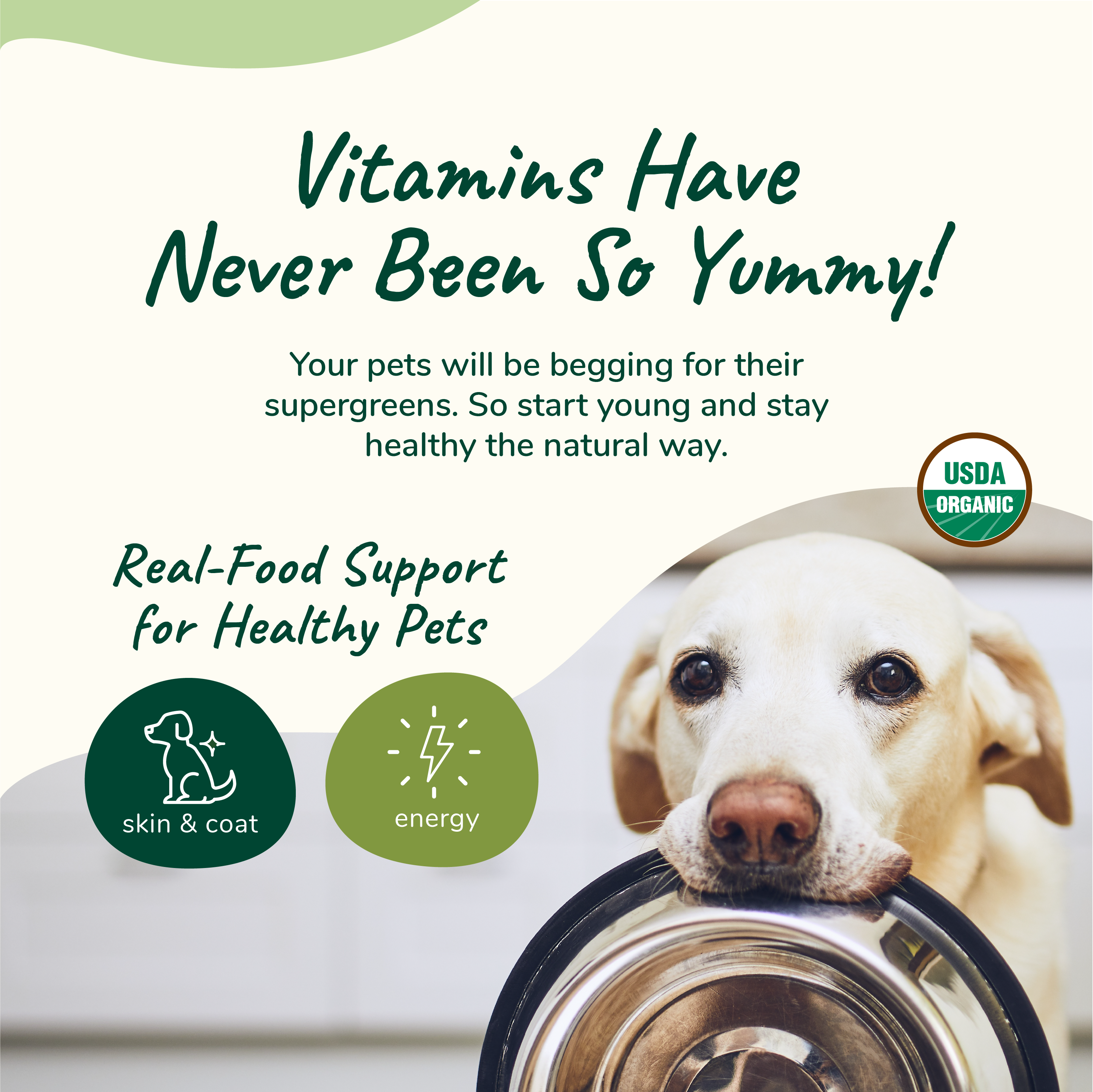 Organic Healthy Skin & Coat Supplement