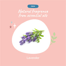 Load image into Gallery viewer, Calming Lavender Waterless Bath for Dogs &amp; Cats
