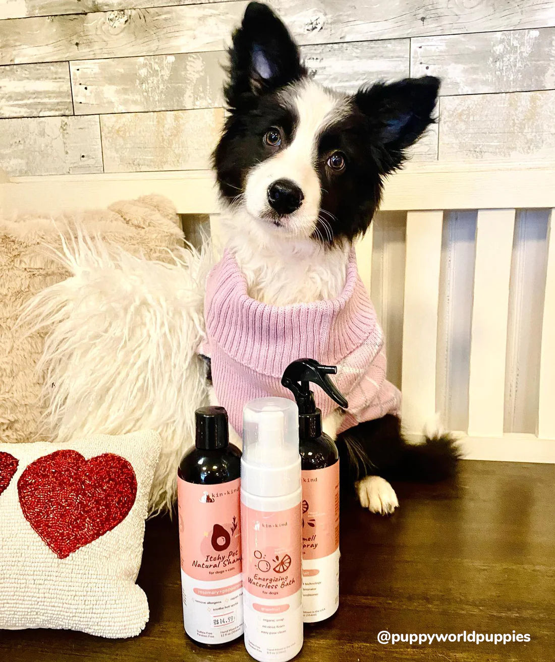 Itchy Pet Shampoo (Rosemary)