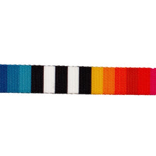 Load image into Gallery viewer, Prisma | Dog Collar
