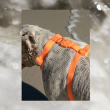 Load image into Gallery viewer, Neopro Tangerine | H - Harness
