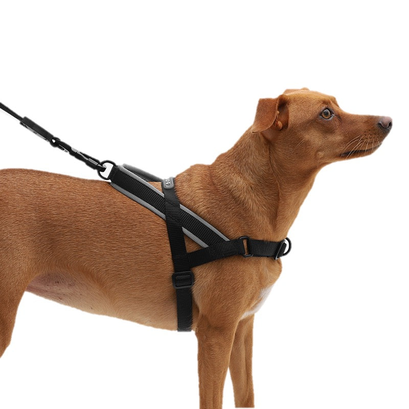 Gotham | Softer Walk Harness