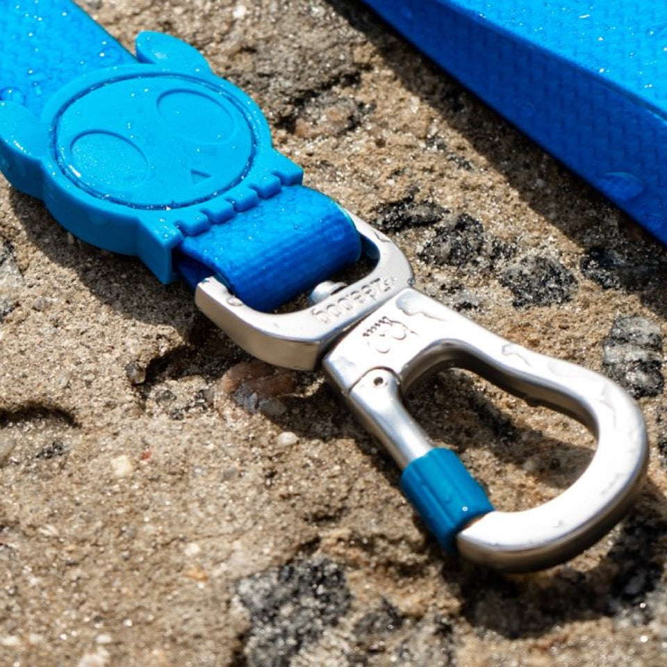 Neopro Blue | Leash