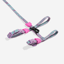 Load image into Gallery viewer, Aura | Cat Harness with Leash
