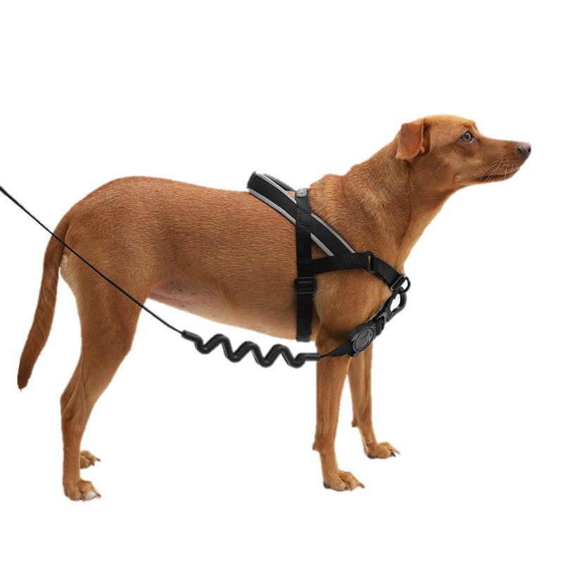 Gotham | Softer Walk Harness